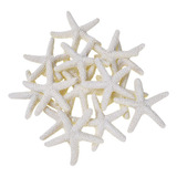 Lápiz Blanco Cremoso Con Forma De Estrella De Mar For Decor