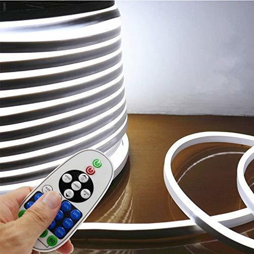 Luz De Neon Led Flexible, Iekovr65.6ft / 20m, Blanco