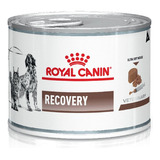 Royal Canin Recovery .( Pack 6 Unidades X 195 Gr.)