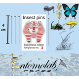 Insect Pins Entomo Inoxidable #3