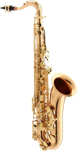 Sax Tenor Eagle Stx513 Sib Laq Master Series Bronze C/case 