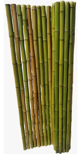 Cerco De Cañas Cubre Cerco Pergolas Revestimiento Caña Bambu