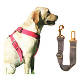 Cinturón De Seguridad Para Perros +  Arnés Reforzado