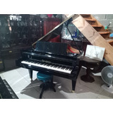 Piano Cauda Bosendorfer 160