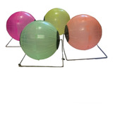 Bola Hamsters Jerbos Roedor Pelota 17 Cm Con Base