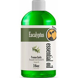 Aceite Esencial De Eucalipto (16 Oz)