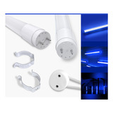 8 Tubo Led T8 Luz Azul 120cm 18w Biv. Vid.+ Plugs+ Suportes