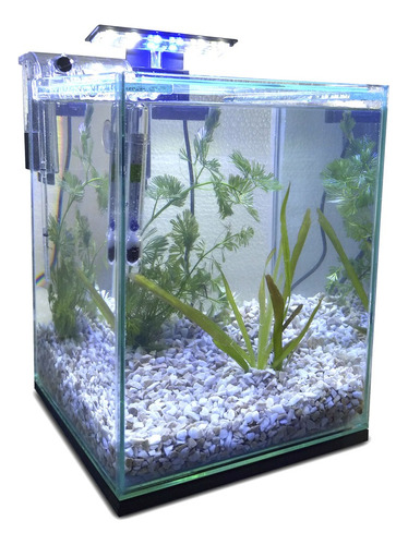 Aquário 10l Quili Classic Nano Filtro Luminária E Decoração