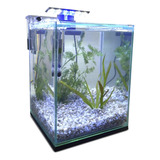 Aquário 10l Quili Classic Nano Filtro Luminária E Decoração