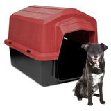 Casa Pet N°4 Casinha Grande Para Cachorros Cães Easy Click