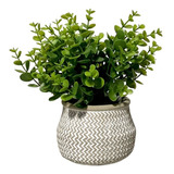 Grass Verde Con Macetero - Planta Artificial Decorativa