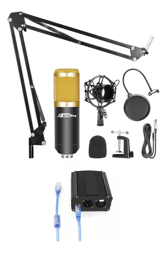 Kit Microfono Profesional Condenser Promic + Brazo + Phantom