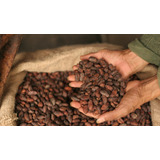 1 Kg De Cacao Crudo, Oaxaca