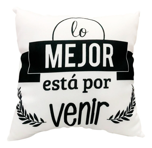 Almohada Almohadon 35x35 Cm Decorativo Frases Sheli 3083