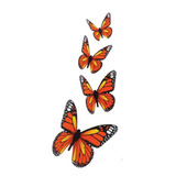 Mariposas Decorativas Color Naranja Con Imán
