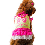 Vestidos Remeras Ropa Para Perros Y Gatos  Papillon