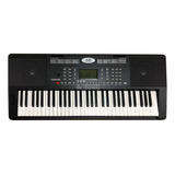 Teclado Alde Audio Tsrpiano 61 Teclas Con Sensibilidad