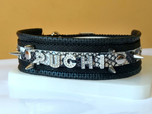 Collar Bulldog Frances C/nombre Hta 6 Letras + Puas + Correa