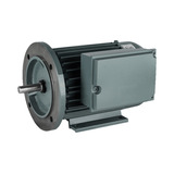 Motor Czerweny Monofásico 2 Hp 3000 Rpm Alto Par Bridado B35