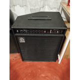 Ampeg Ba 210