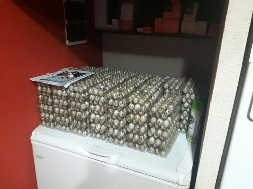 Huevos De Codorniz Para Consumo Entregas En Caba $150  