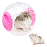 Esfera Para Hamster Reforzada Con Base Diametro 12cm
