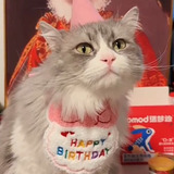 Accesorios De Cumpleños Para Festejar A Tu Gatito