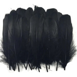 Plumas Decorativas Artificiales Color Negro Paquete X 20