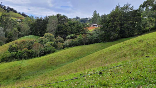 Venta De Terreno Con 3 Matriculas Ubicado En Rionegro El Higuerón - Imagen 2