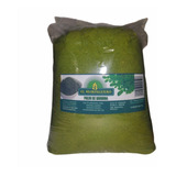 Polvo Moringa 1 Kg