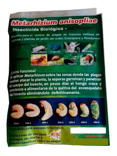 Metarhizium Insecticida Biológico 100gr