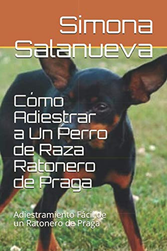 Cómo Adiestrar A Un Perro De Raza Ratonero De Praga: Adiestr