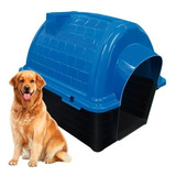 Casinha Plástico Iglu N6 Azul Cães Gatos Grande Caminha Pet