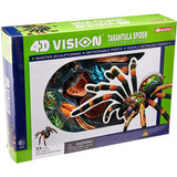 4d: Tarantula Spider Anatomy Model