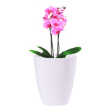 Vaso De Plantas Artificial Pequenos Para Decoração 20x23 Cm