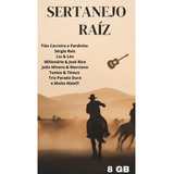 Pendrive Gravado Com Músicas Sertanejo Raíz Envio Imediato 