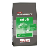 Royal Canin Performance Perro Adulto 20kg + Hueso + Envio Gr