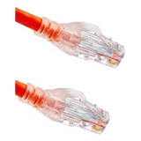 Belden Cable Patch Cat6+ Utp Blindado Rj-45, 1.5 Metros Rojo