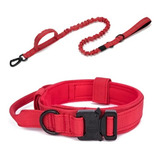 Set Pack 2en1 Collar+correa Perros Grandes Mediano Calidad