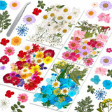 153 Piezas De Flores Secas Para Resina, Variedad De Colores 