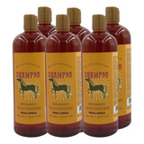  Shampoo Cola Caballo Wild Horse Crecimiento Cabello 6 Piezas