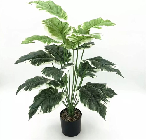 Planta Interior Difembachia Tropic 77 Cm Artificial