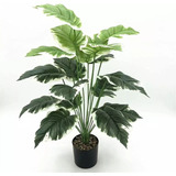 Planta Interior Difembachia Tropic 77 Cm Artificial