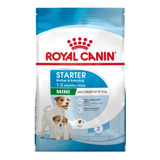 Royal Canin Mini Starter Dog 1k