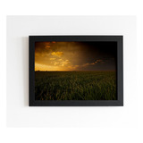 Quadro Art Campo De Grama Anoitecer