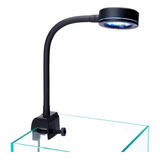 Luz De Coral Led For Acuario De 18wcoral Marino Sps Lps