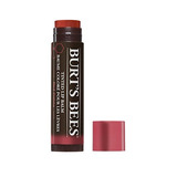 Las Abejas De Burt 100% Natural Moisturizing Tinted Lip Balm
