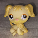 Little Pet Shop Hasbro Modelo 235 Golden Retriever # 286