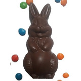 Conejo De Pascua N°15 Fla Flp Puro Chocolate