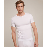 Camiseta Hombre Patprimo Blanco Poliéster M/c 44020028-10104